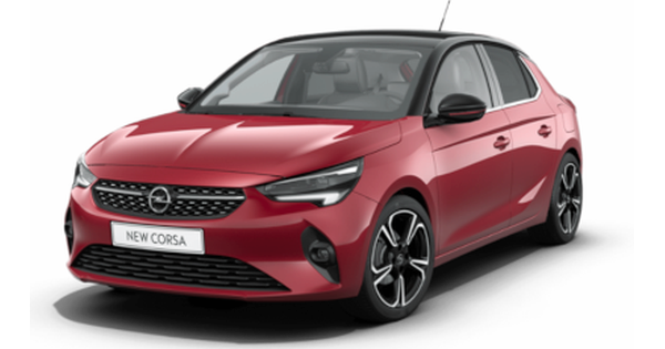 2019- (F)