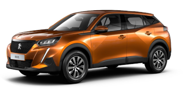 2019- II