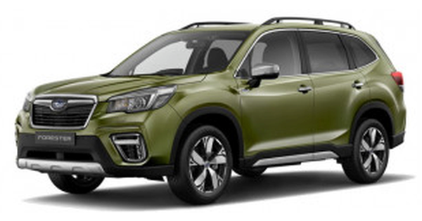2019-2025 (SK)