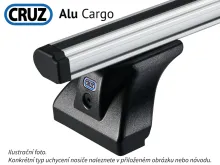 AluCargo (3)